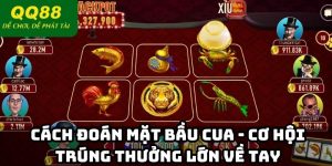 Cách Đoán Mặt Bầu Cua - Cơ Hội Trúng Thưởng Lớn Về Tay