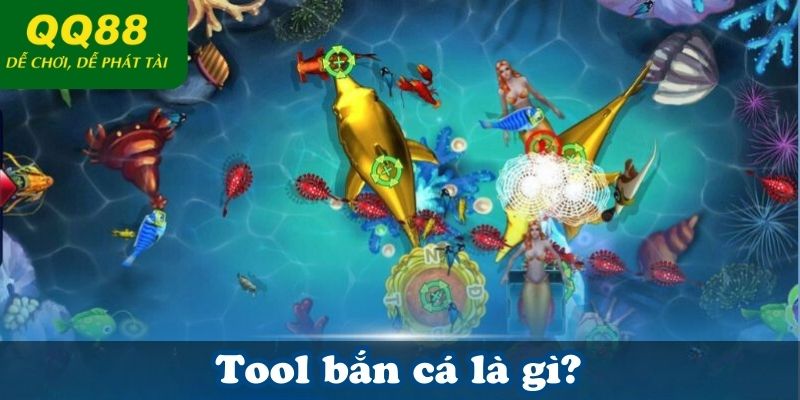 Tool bắn cá là gì?