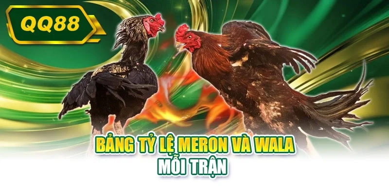 Bảng tỷ lệ Meron và Wala mỗi trận