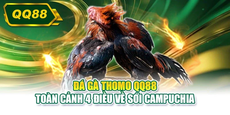 Đá gà thomo