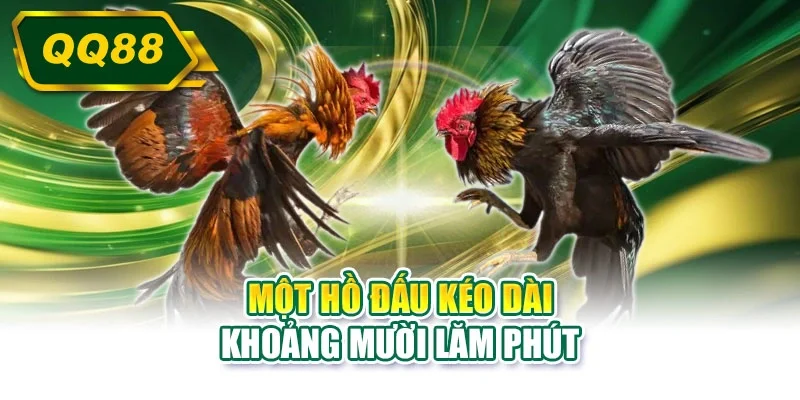 Một hồ đấu kéo dài khoảng mười lăm phút