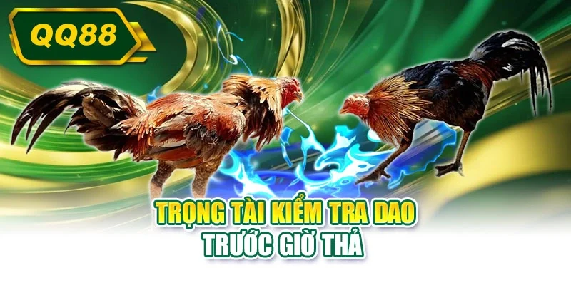 Trọng tài kiểm tra dao trước giờ thả